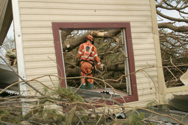 Best Seasonal Cleanup (Spring/Fall)  in Bertsch Oceanview, CA